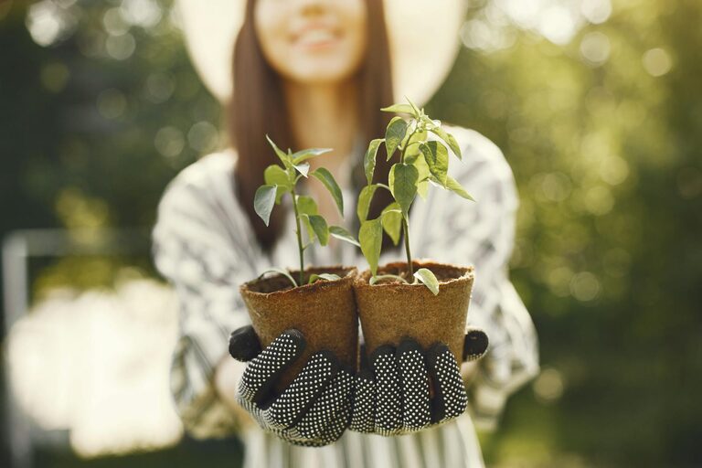 Tips for creating a sustainable home garden throughout the year
